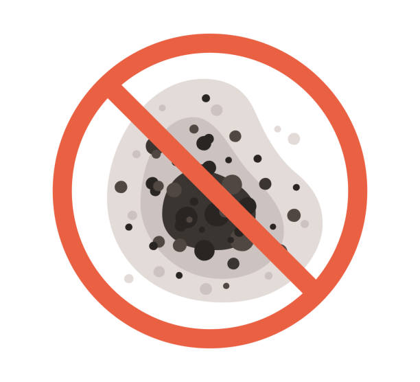 Mold Odor Removal Services in Carrizo Springs, TX